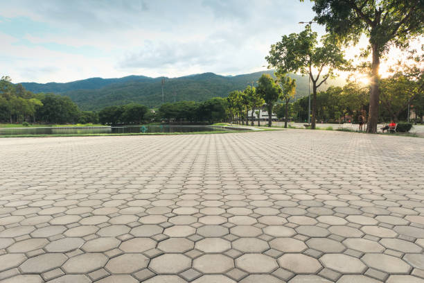 Best Residential Paver Driveway  in Mayer, AZ